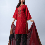 Crimson Royale Ensemble Selwar Kamiz
