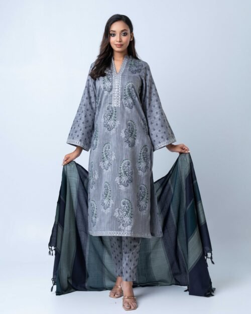 Moonlit Grey Sage Selwar Kamiz