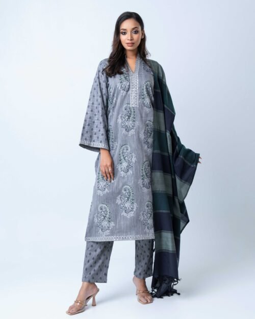 Moonlit Grey Sage Selwar Kamiz