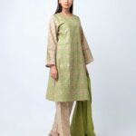 Lime Gold Shalwar Kameez