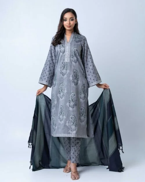 Moonlit Grey Sage Selwar Kamiz